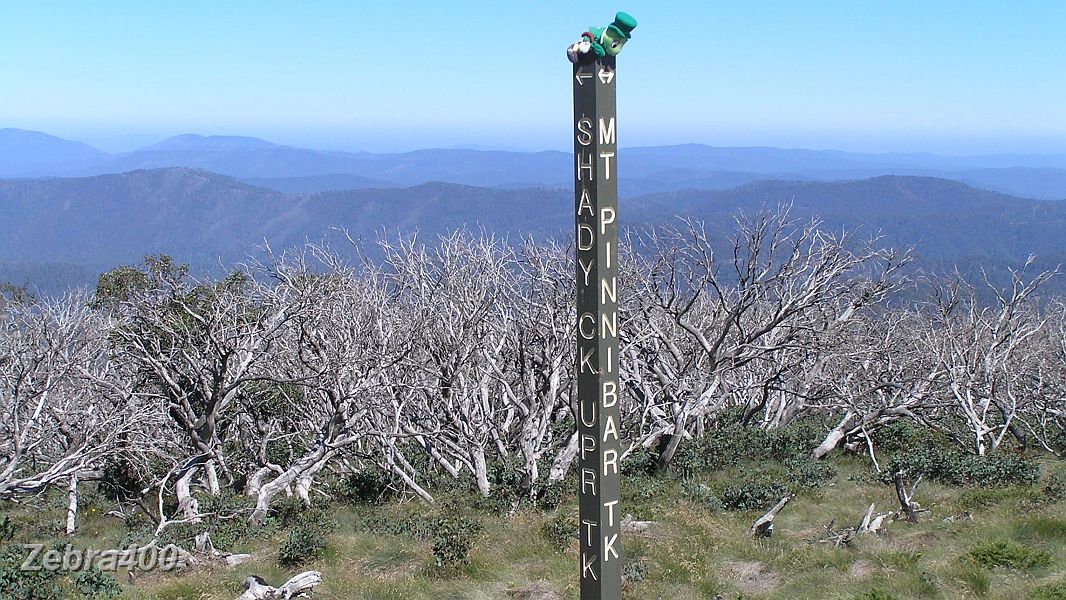 26-Mascot 'Cricket' enjoys the fantastic views at Mt Pinnibar.JPG - 26-Mascot 'Cricket' enjoys the fantastic views at Mt Pinnibar